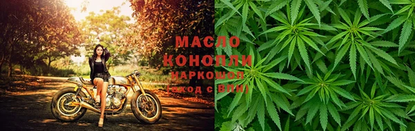 твердый Аркадак