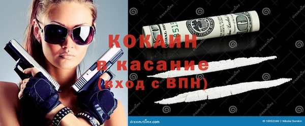 твердый Аркадак