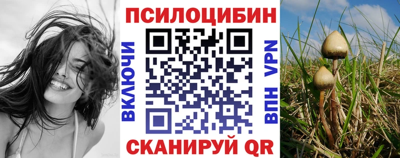 Галлюциногенные грибы Psilocybine cubensis  наркошоп  кракен ССЫЛКА  Нефтегорск 